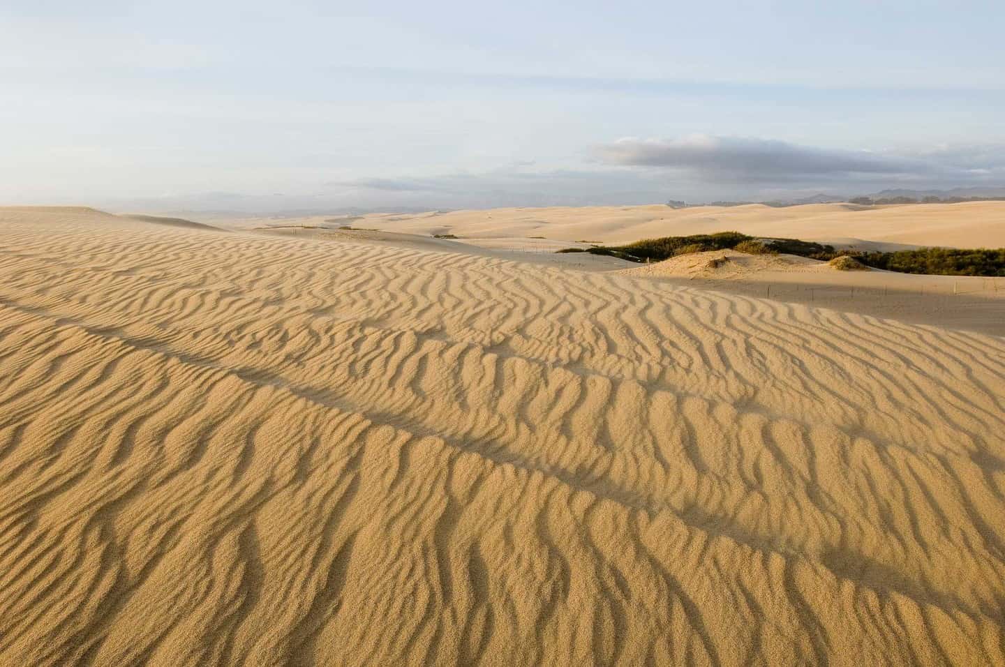 oceano dunes