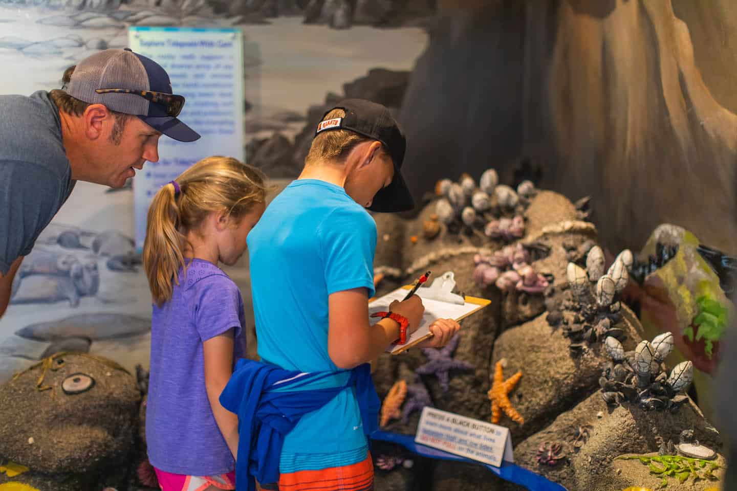 Coastal Discovery Center Tidepool Exhibit