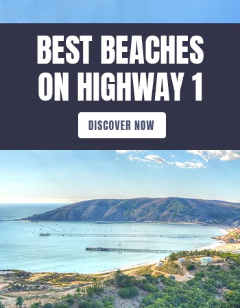 Best Beaches on Highway 1