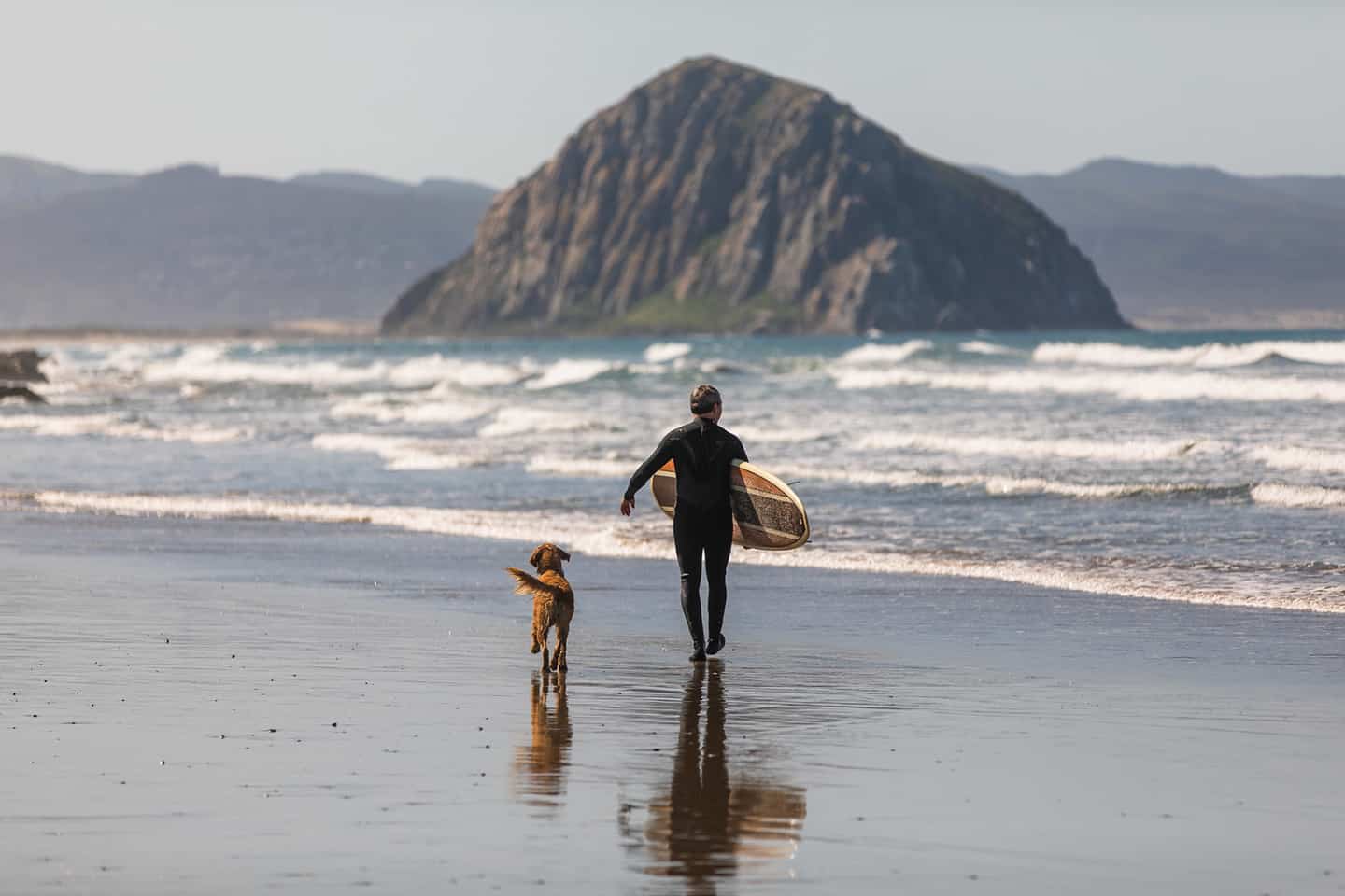 Cayucos surfer & dog